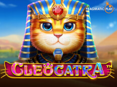 Cool cat casino download29